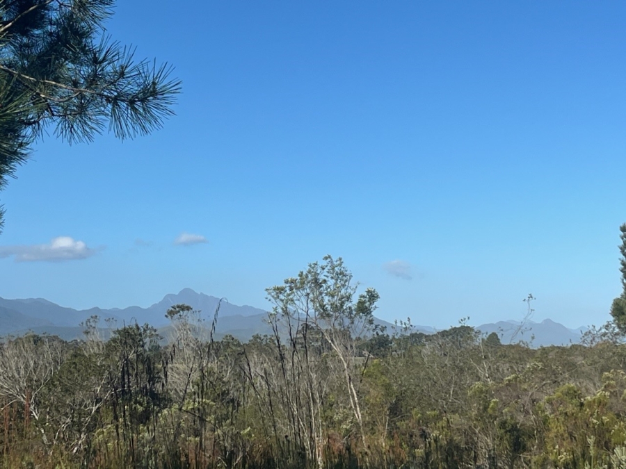 Commercial Property for Sale in Plettenberg Bay Rural Western Cape